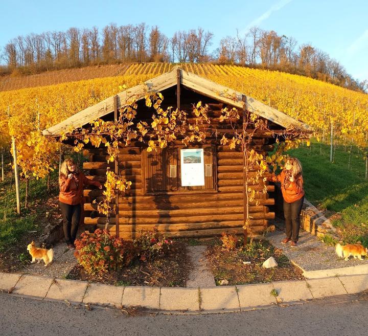 Hotel Weinstube Ochsen Restaurant